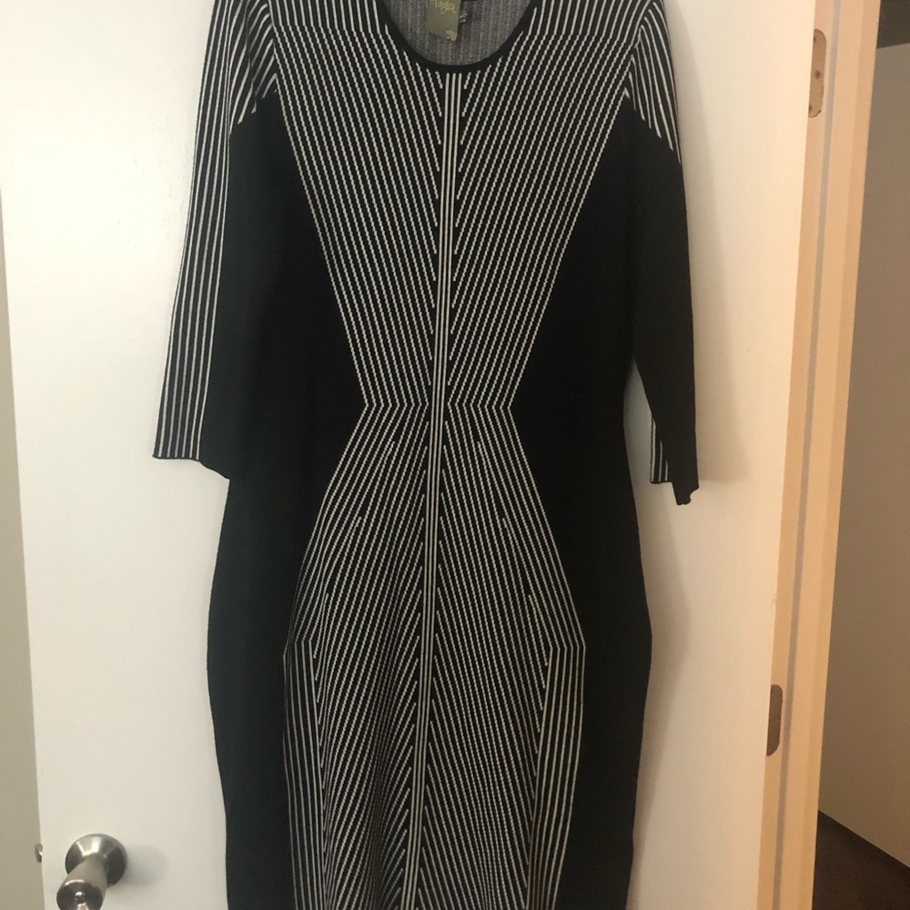 NWOT Taylor Bodycon Sweater Dress